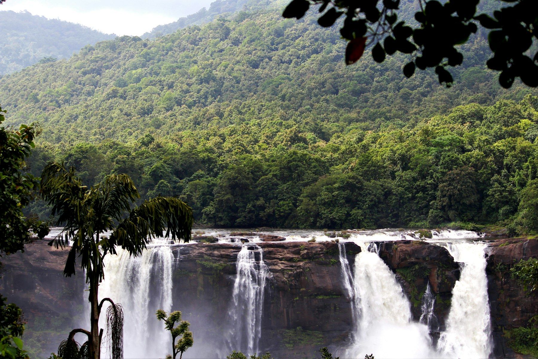 Athirappilly waterfall surrounded by forest